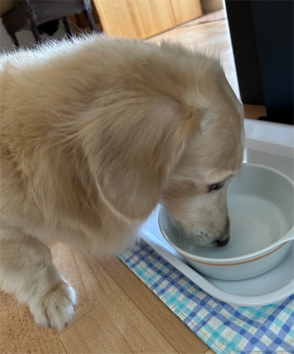 f:id:leomio:20250921122117j:image f:id:leomio:20250921122117j:image