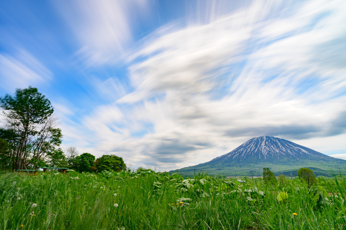 f:id:leon-60:20200209215914j:plain