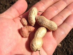 f:id:leon1248:20160207170945j:plain