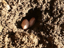 f:id:leon1248:20160207170949j:plain