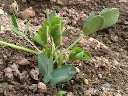 f:id:leon1248:20160207171004j:plain