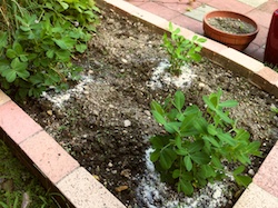 f:id:leon1248:20160207171010j:plain