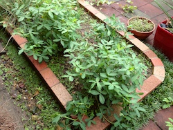 f:id:leon1248:20160207171023j:plain