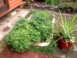 f:id:leon1248:20160207171036j:plain