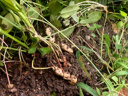 f:id:leon1248:20160207171041j:plain