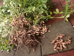 f:id:leon1248:20160207171048j:plain