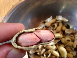 f:id:leon1248:20160207171418j:plain