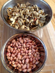 f:id:leon1248:20160207171426j:plain