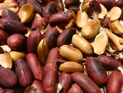 f:id:leon1248:20160207171500j:plain