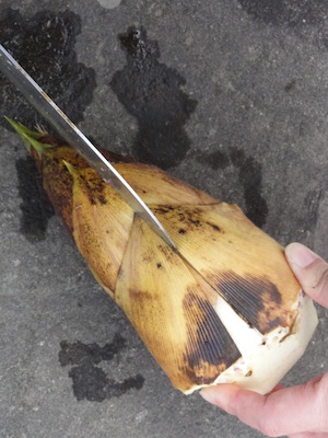 f:id:leon1248:20160417074944j:plain f:id:leon1248:20160417074944j:plain