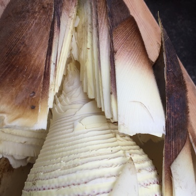 f:id:leon1248:20160417075046j:plain f:id:leon1248:20160417075046j:plain