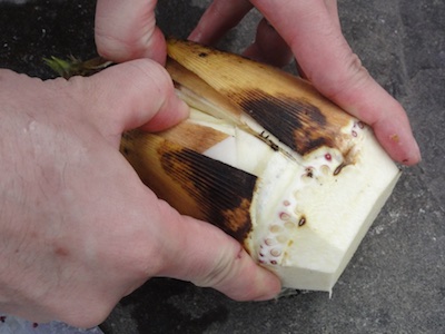 f:id:leon1248:20160417075117j:plain f:id:leon1248:20160417075117j:plain