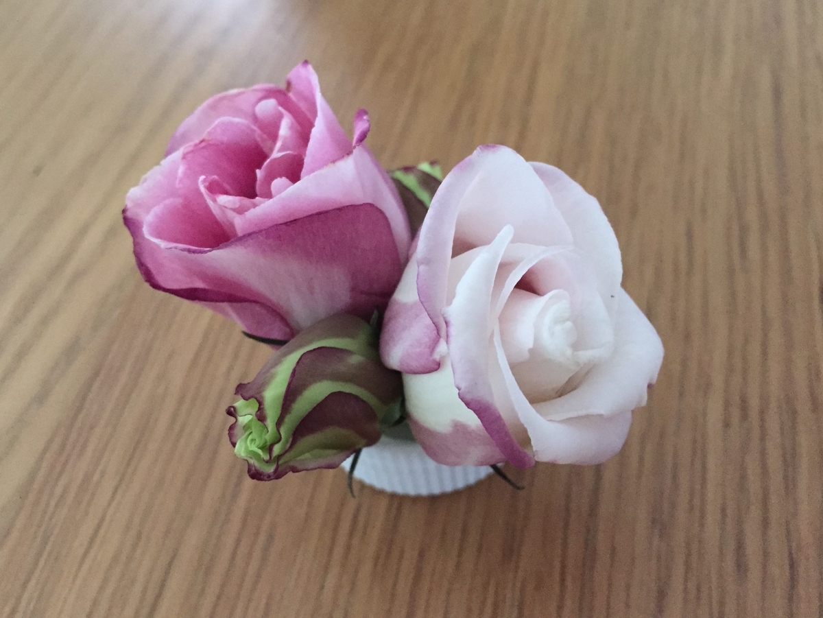 f:id:leona_moana:20190918102226j:plain f:id:leona_moana:20190918102226j:plain