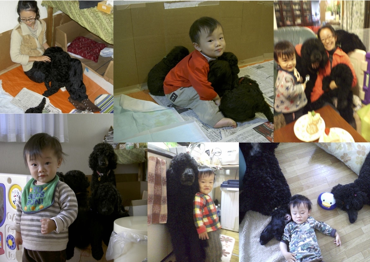 f:id:leona_moana:20200518223405j:plain f:id:leona_moana:20200518223405j:plain
