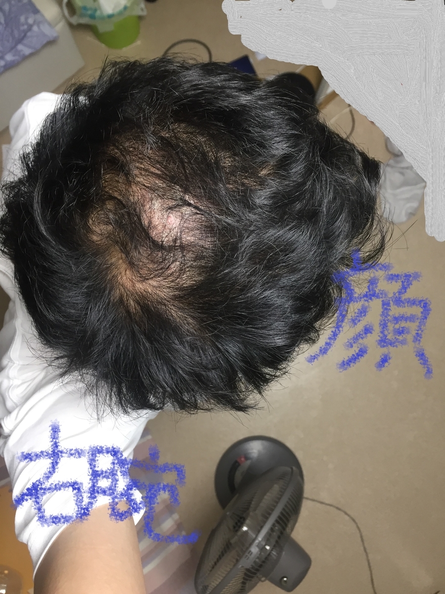 f:id:leonet0702:20210425212538j:plain