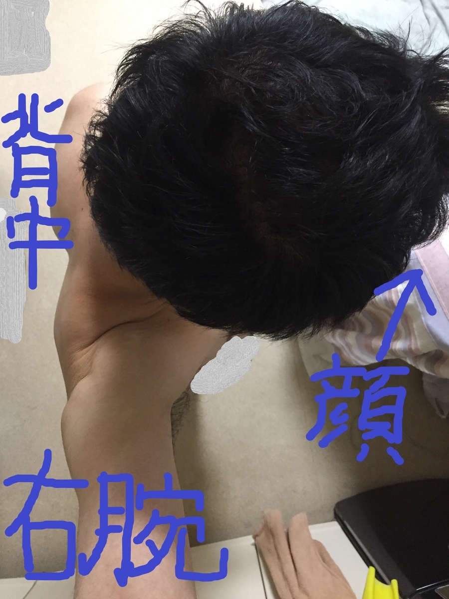 f:id:leonet0702:20210425213624j:plain