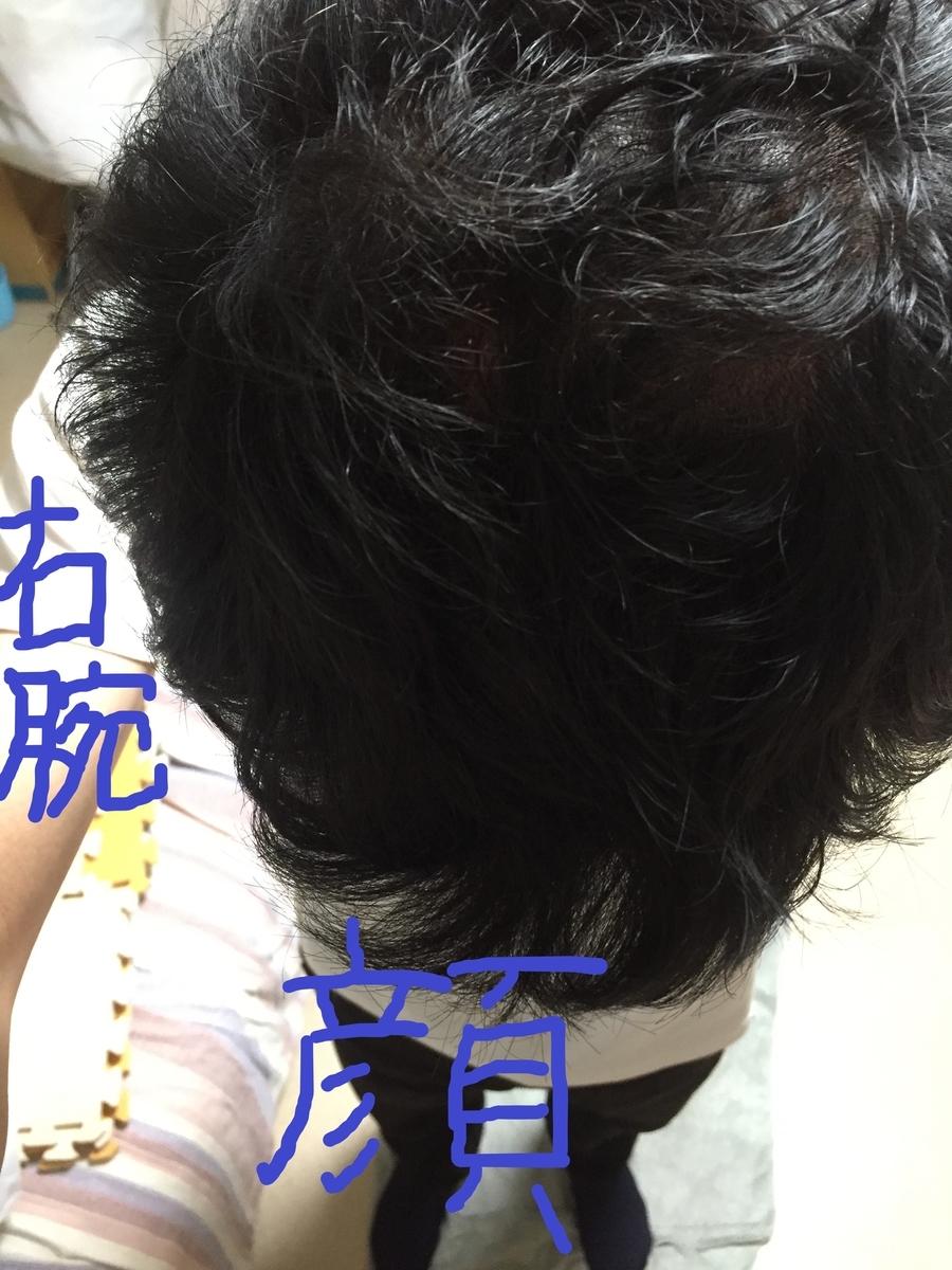 f:id:leonet0702:20210425213720j:plain