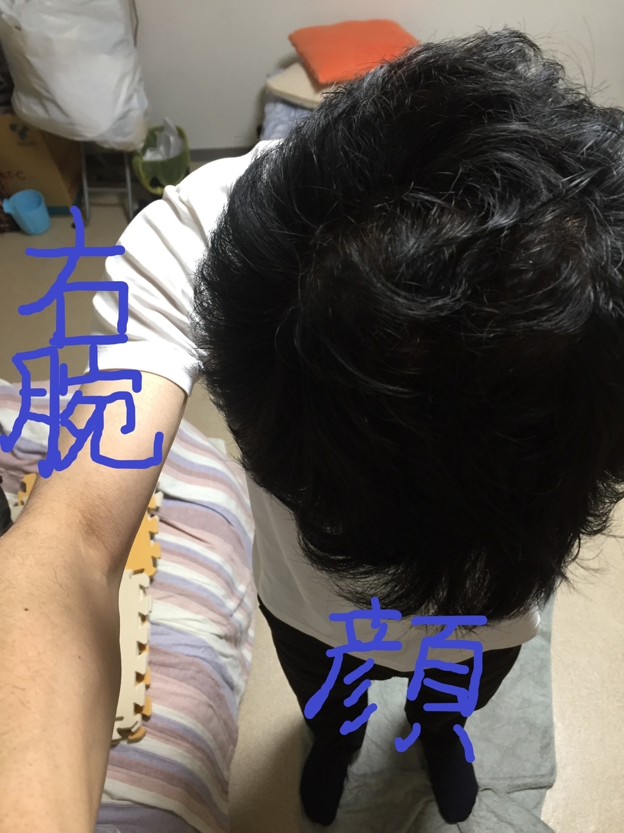 f:id:leonet0702:20210425213757j:plain