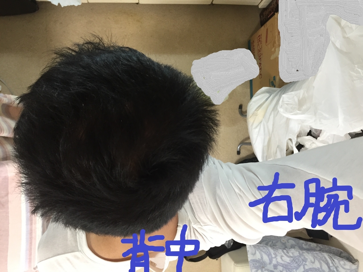 f:id:leonet0702:20210426194053j:plain