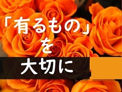 有るもので愉しむココロを持ちながら、やりたいことをやってみる。今ある幸せに感謝しよう。　～麗生（れお）