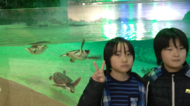 f:id:leoponpon:20180101165647j:image:w360