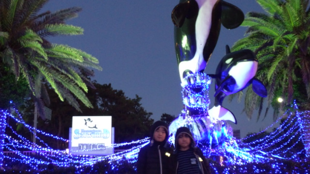 f:id:leoponpon:20180101170355j:image:w360