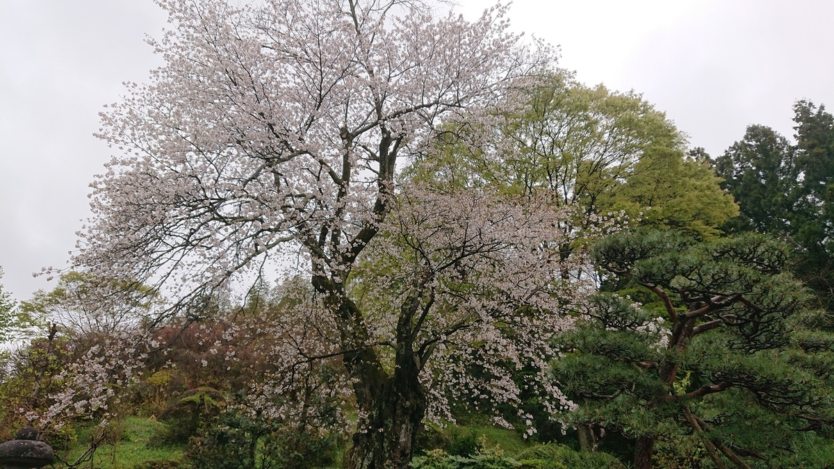 f:id:leossan:20190430223430j:plain