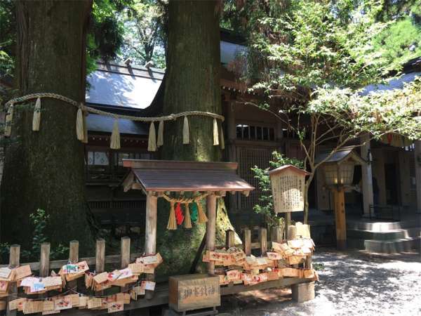 f:id:lepommier8161014:20180810143340j:plain