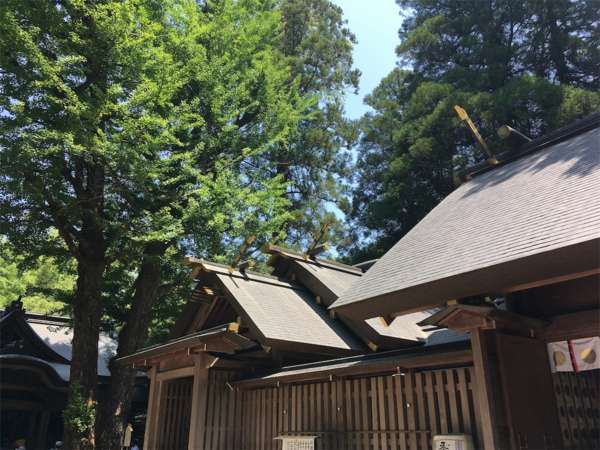 f:id:lepommier8161014:20180810143629j:plain