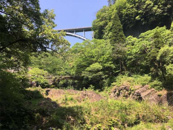 f:id:lepommier8161014:20180810143830j:plain