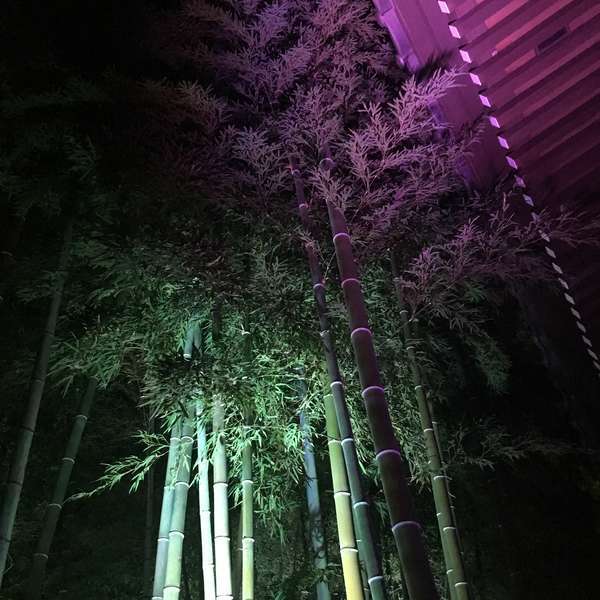 f:id:lepommier8161014:20180913125016j:plain