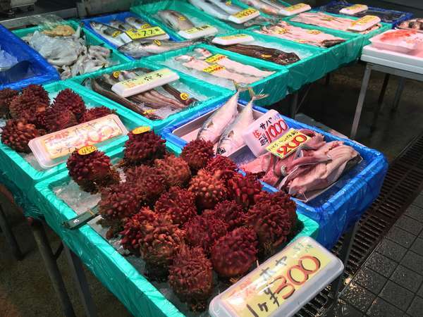 f:id:lepommier8161014:20181105173926j:plain f:id:lepommier8161014:20181105173926j:plain