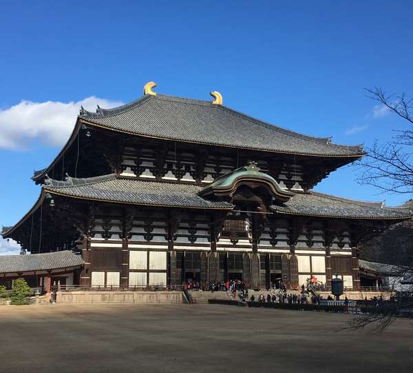 f:id:lepommier8161014:20190105142444j:plain