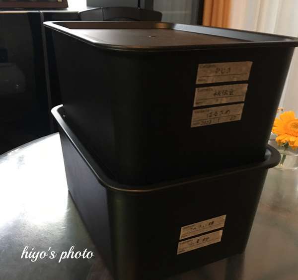Seria ニトリお気に入り商品紹介 マスキングテープで綺麗に使いやすく収納 キッチン用品 ひよ夫婦smile Seria ニトリお気に入り商品紹介 マスキングテープで綺麗に使いやすく収納 キッチン用品 ひよ夫婦smile