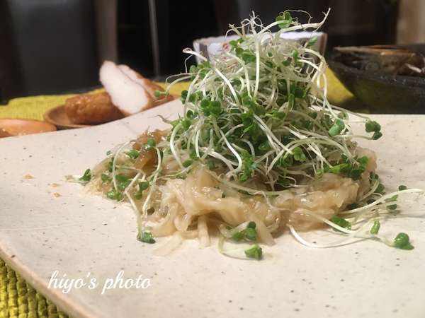 f:id:lepommier8161014:20201208102516j:plain