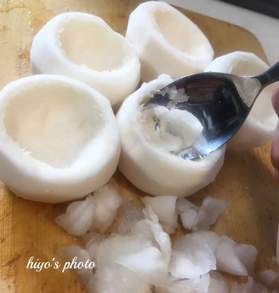 f:id:lepommier8161014:20210209102430j:plain