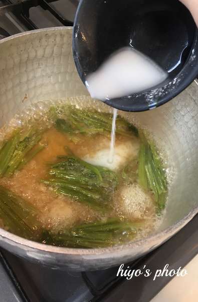 f:id:lepommier8161014:20210209102525j:plain