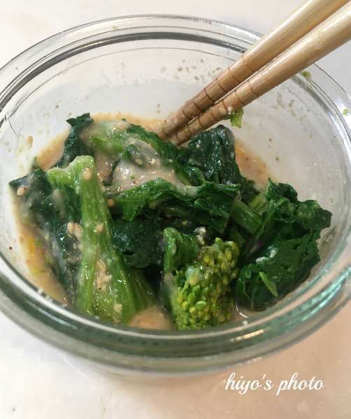 f:id:lepommier8161014:20210209102619j:plain