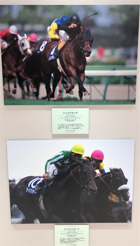 藤沢和雄調教師が育てた名馬たちを見て 競馬の魅力にハマるumajoの日記