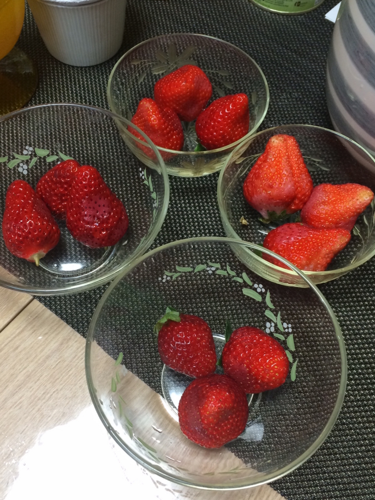 f:id:les-papillons-roses:20170321045833j:plain f:id:les-papillons-roses:20170321045833j:plain