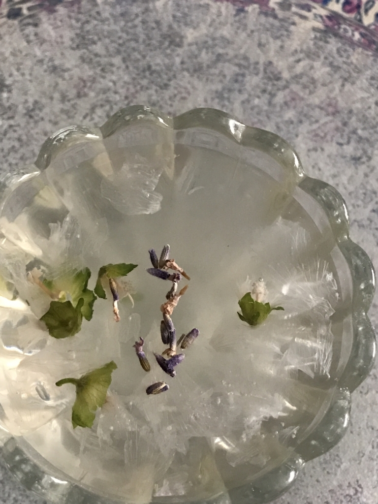 f:id:les-papillons-roses:20180803171717j:plain f:id:les-papillons-roses:20180803171717j:plain