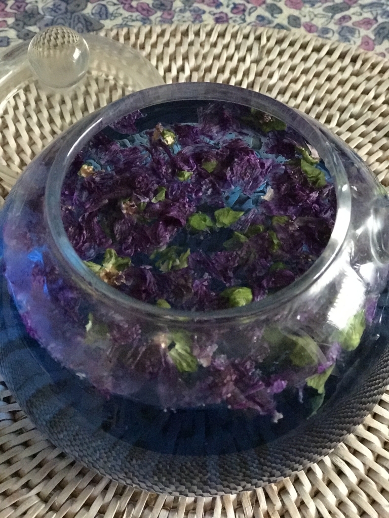 f:id:les-papillons-roses:20180803172108j:plain f:id:les-papillons-roses:20180803172108j:plain