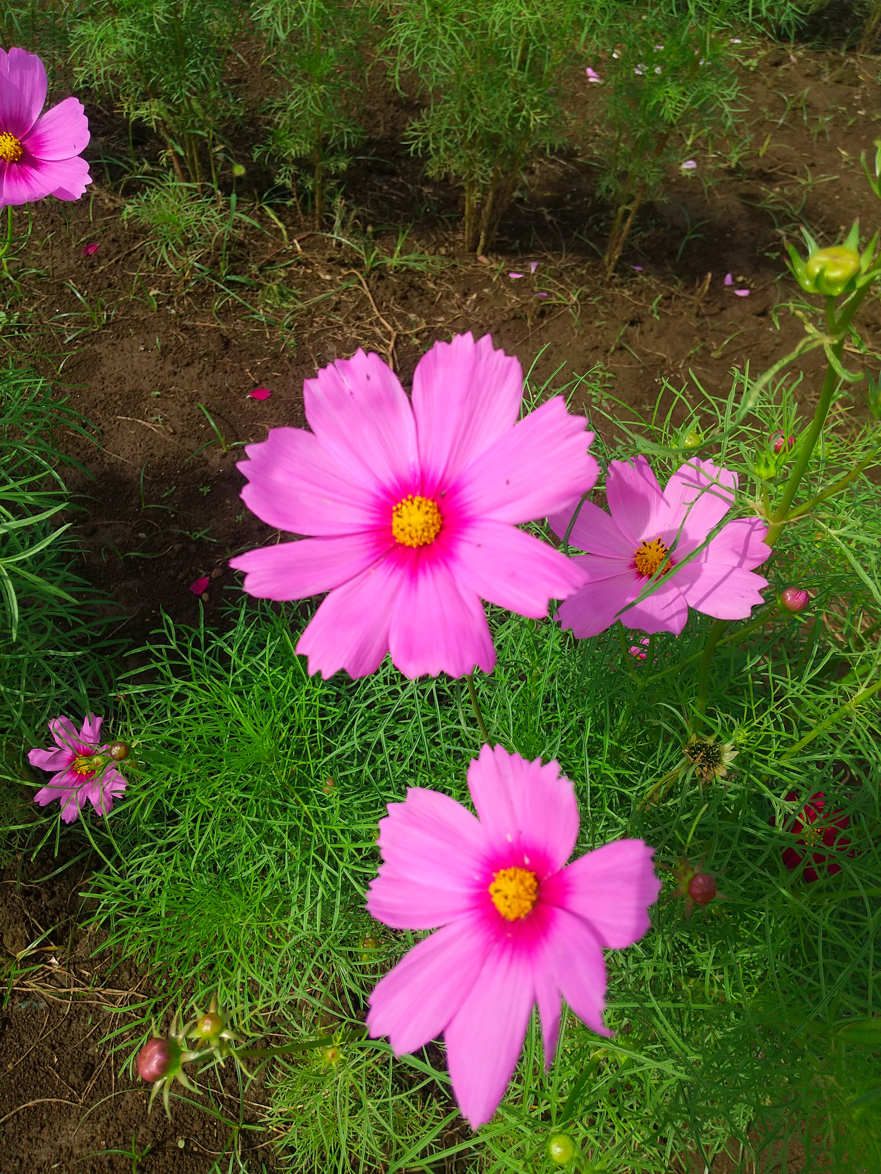 f:id:letsenjoyhappylife:20251002144650j:image f:id:letsenjoyhappylife:20251002144650j:image