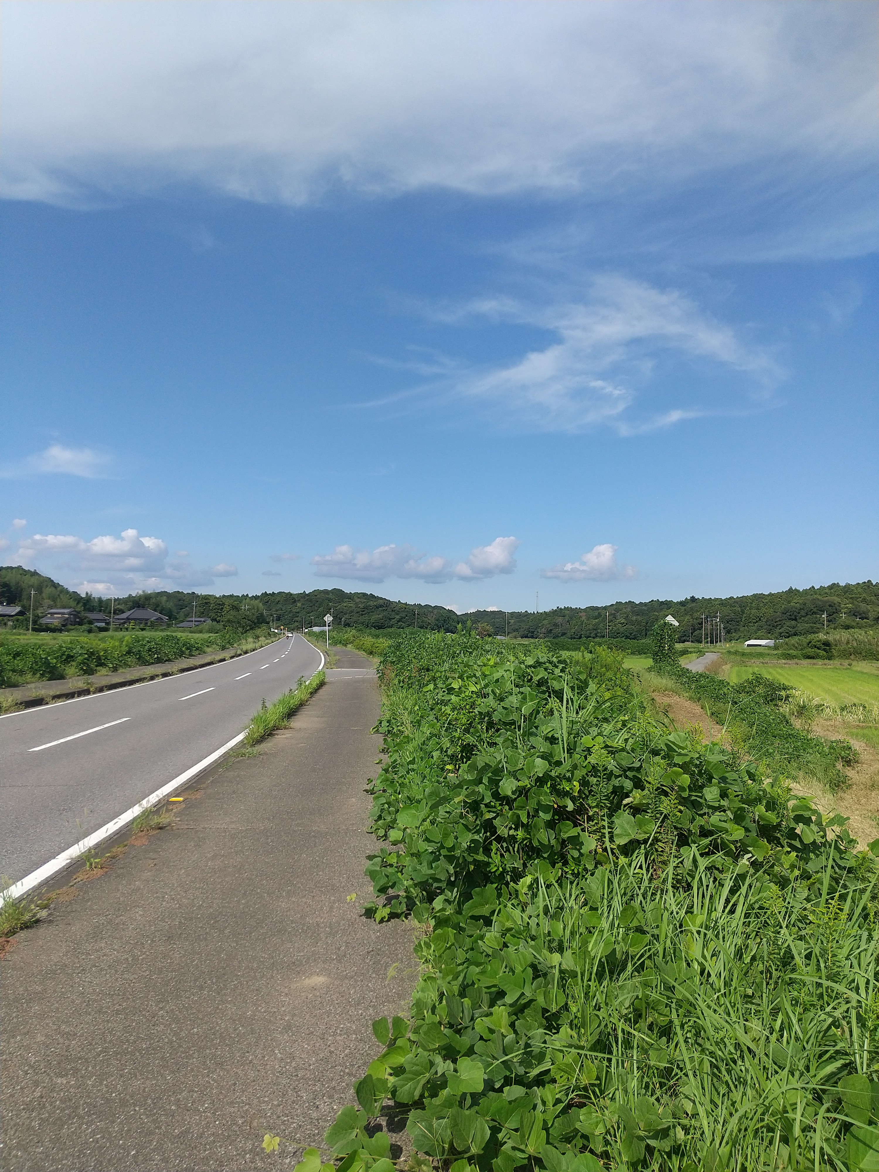 f:id:letsenjoyhappylife:20251002144721j:image f:id:letsenjoyhappylife:20251002144721j:image