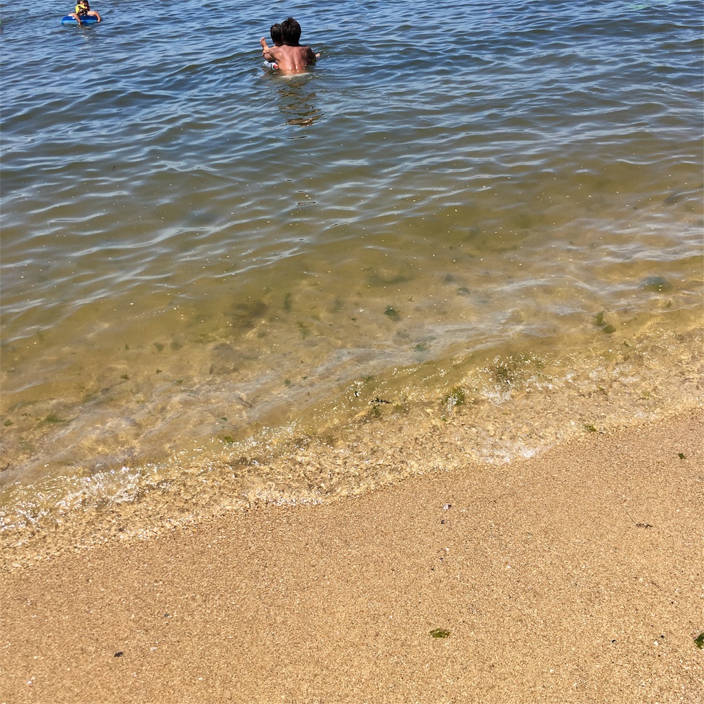 f:id:letskodekake:20180827232029j:image f:id:letskodekake:20180827232029j:image