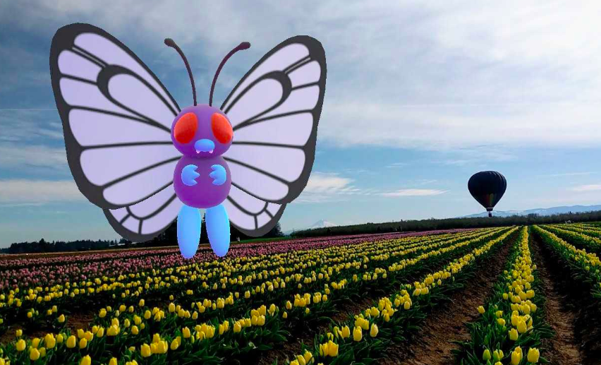 f:id:level999:20190412232107p:plain f:id:level999:20190412232107p:plain
