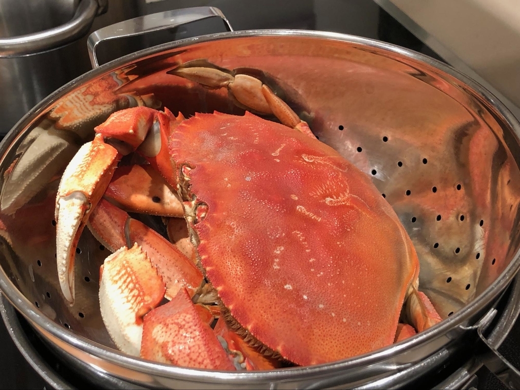 f:id:levii-akira:20190225212217j:plain:w350