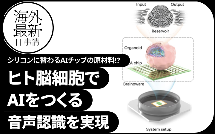 人間の脳細胞を電極の上に置いてつくった人工知能。日本語の音声認識を