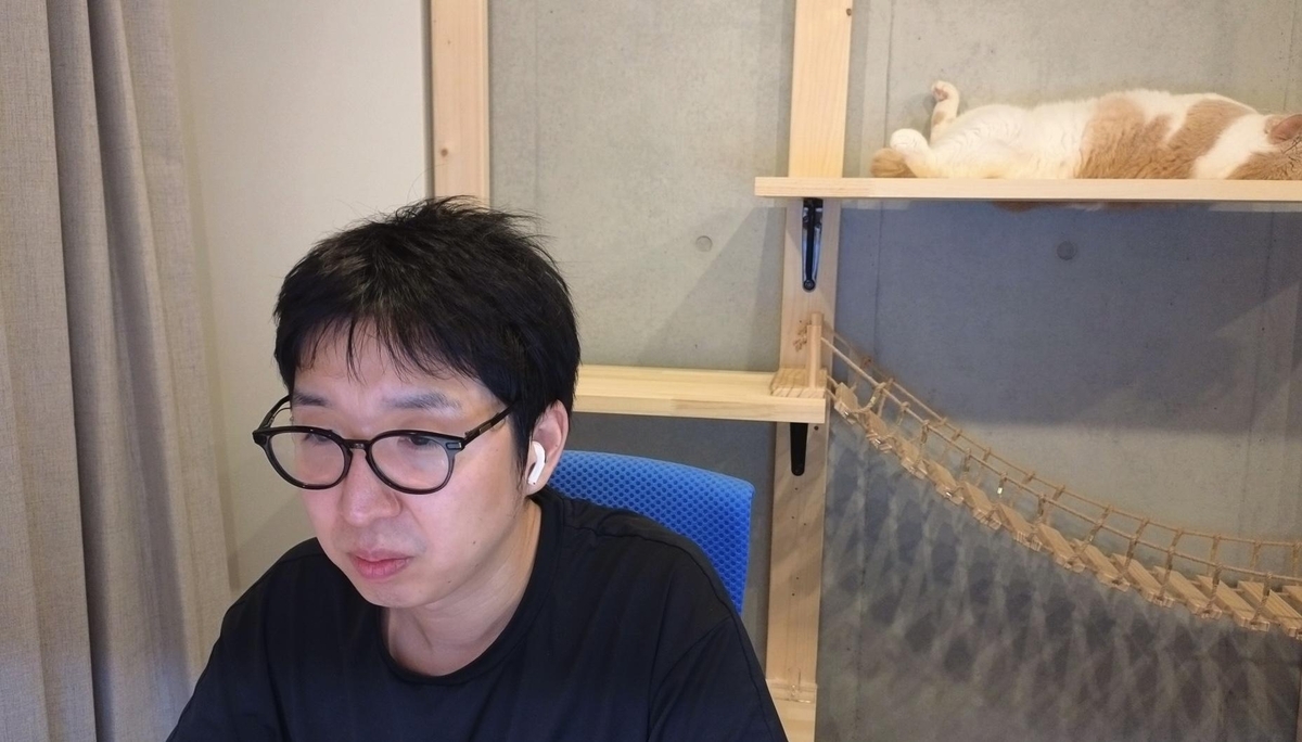 ▲会議中のウェブカメラに映り込むもふもふ