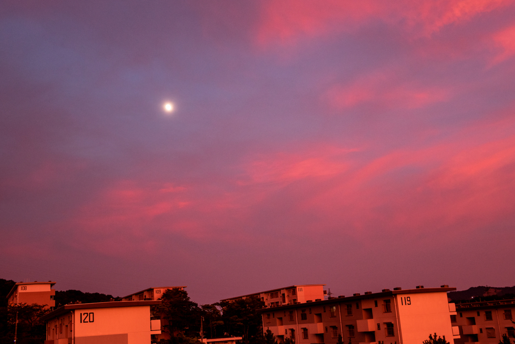 f:id:lexapro:20180726120207j:plain